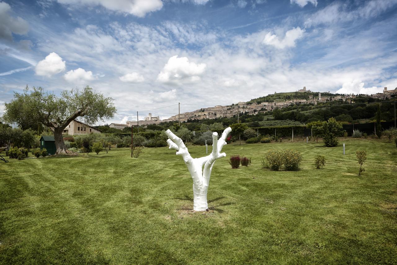 Tenuta San Masseo - Boutique Farm Resort & Spa อัสซิซี ภายนอก รูปภาพ